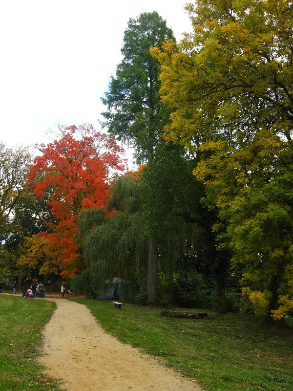 Podzimní příroda v zámeckém parku