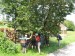 Na výletě Jihlava-Humpolec - cpeme se třešněma